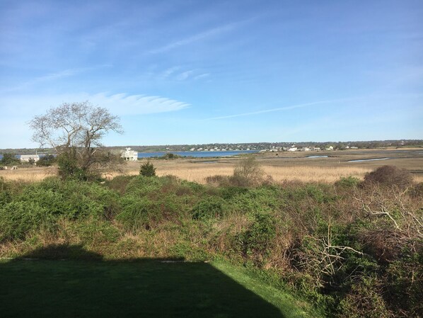 A coastal landscape with a large white building, a tree, and a view of the sea. - SPRING INTO SAVINGS Large Tranquil, Private Suite By The Sea, Birders Paradise (Little Compton)