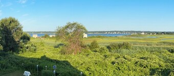   SPRING INTO SAVINGS Large Tranquil, Private Suite By The Sea, Birders Paradise