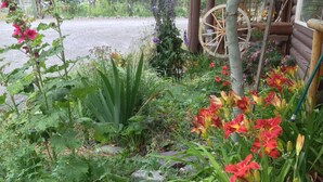 A garden with various plants and flowers, a wooden wheel, and a rustic building in the background.