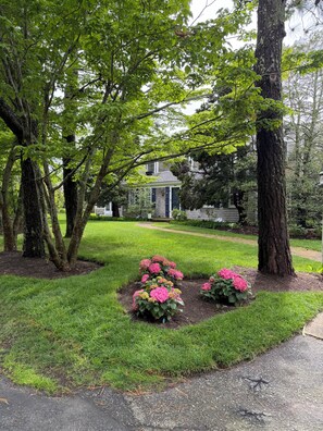 Property grounds - Osterville Cape Cod-Style Home - One Block from North Bay! (Osterville)