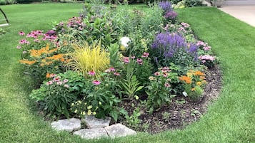 Jardines del alojamiento