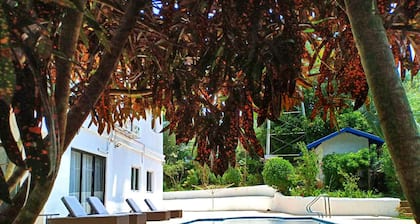 Schöne Villa mit Pool 3000 qm tropischer Garten