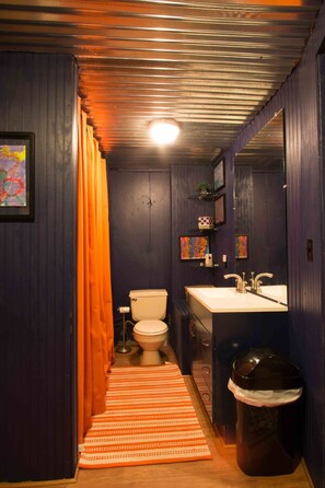 Combined shower/tub, hair dryer, towels, toilet paper - Wonderful Lake Front Home with amazing views and access to the water (Edgemont)
