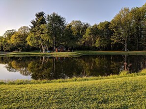 A serene lakeside scene with a wooden cabin, surrounded by lush greenery and trees reflecting in the calm water. - Poppy’s Cabin on Pond in Finger Lakes Region (Savona)