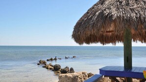 A beach with a thatched umbrella, a wooden bench, and a rocky shoreline. - Key Largo Kawama Villa L1, 3/3 (Key Largo)