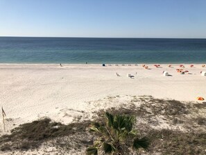 On the beach, sun loungers - Windward Pointe 601, Orange Beach, AL Gulf Front Beach Condo East Corner Balcony (Orange Beach)