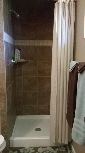 Ensemble douche/baignoire, sèche-cheveux, serviettes fournies