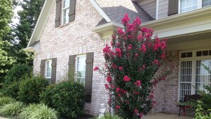 A brick house with a porch, a pink flowering bush, and a well-maintained lawn.