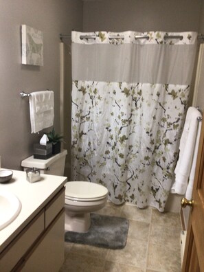 Combined shower/bathtub, hair dryer, towels, soap