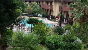 A pool area with palm trees and a building in the background.