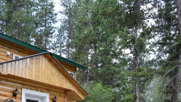 A log cabin with a deck and a small pond. - Relaxing, spacious cabin w/ hot tub and Starlink's high-speed internet service (Darby)