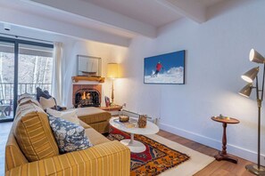 TV, fireplace, DVD player, books