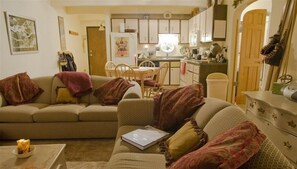 TV, fireplace, DVD player, books