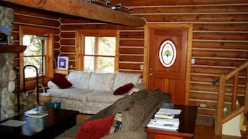 Smart TV, fireplace, DVD player, video library