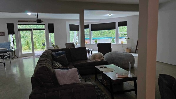 TV, fireplace, video games, DVD player