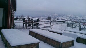 Ein mit Schnee bedeckter Außenbereich mit Bänken, einem Holzzaun und Pferden im Hintergrund.