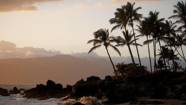 A beach with palm trees and rocky terrain. - UPDATED MAUI VACATION RENTAL (Kihei)