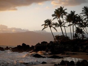 A beach with palm trees and rocky terrain.