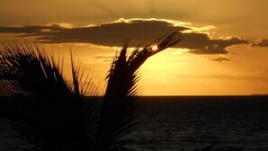 A sunset over the ocean with silhouettes of palm fronds in the foreground. - UPDATED MAUI VACATION RENTAL (Kihei)