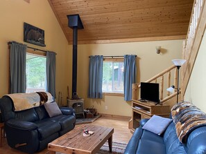 Fernseher, Kamin, DVD-Player, Bücher