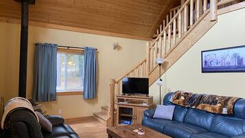 電視、壁爐、DVD 播放機、書籍