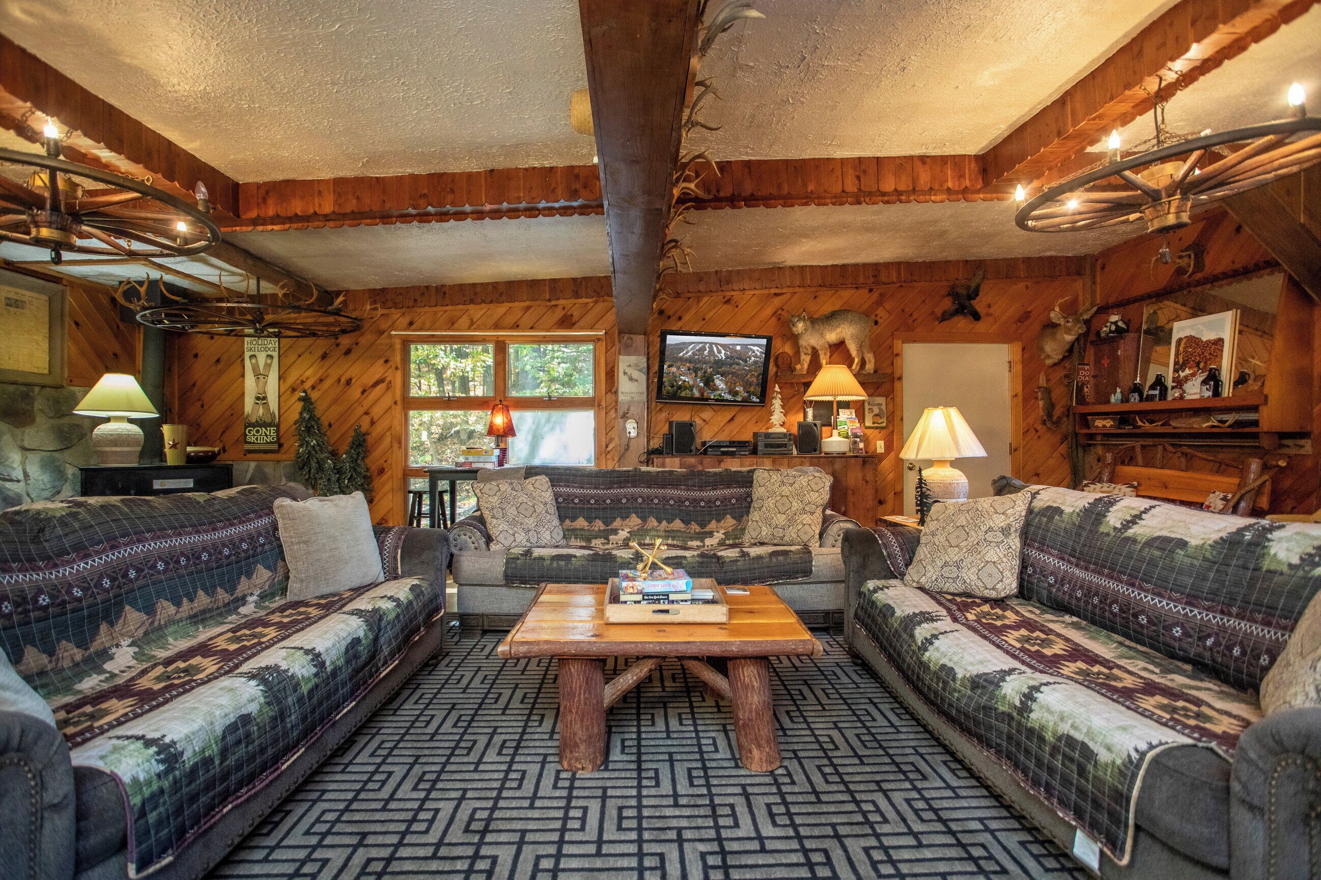 TV, fireplace, books, stereo