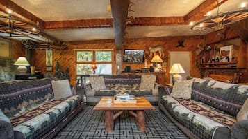 TV, fireplace, books, stereo