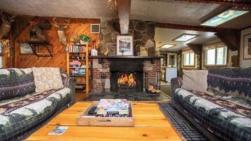 Televisión, chimenea, libros y estéreo