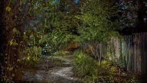 Een tuinpad omzoomd door weelderige begroeiing, dat leidt naar een houten hek.