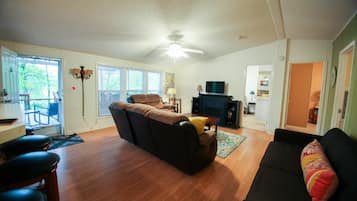 TV, fireplace, DVD player