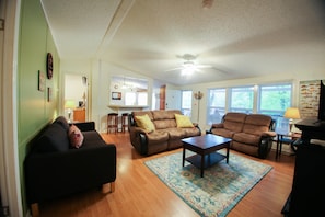 Televisión, chimenea y reproductor de DVD