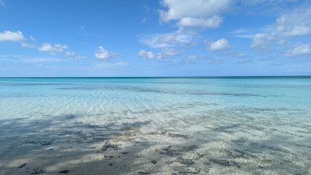 Vista despejada de una playa con aguas turquesas poco profundas y una orilla arenosa.