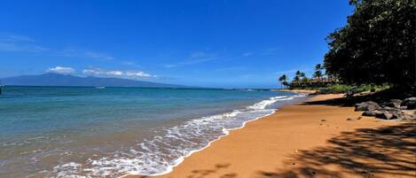 Accommodatie ligt op het strand, ligstoelen