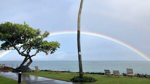 A tree-lined pathway leading to a beach with lounge chairs and a visible rainbow.