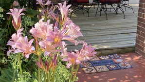 Un patio couvert avec une terrasse en bois, des meubles d’extérieur et une variété de plantes, dont des fleurs roses.