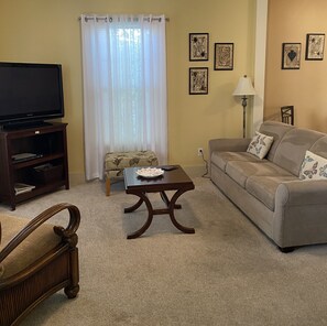 Smart TV, DVD player, books