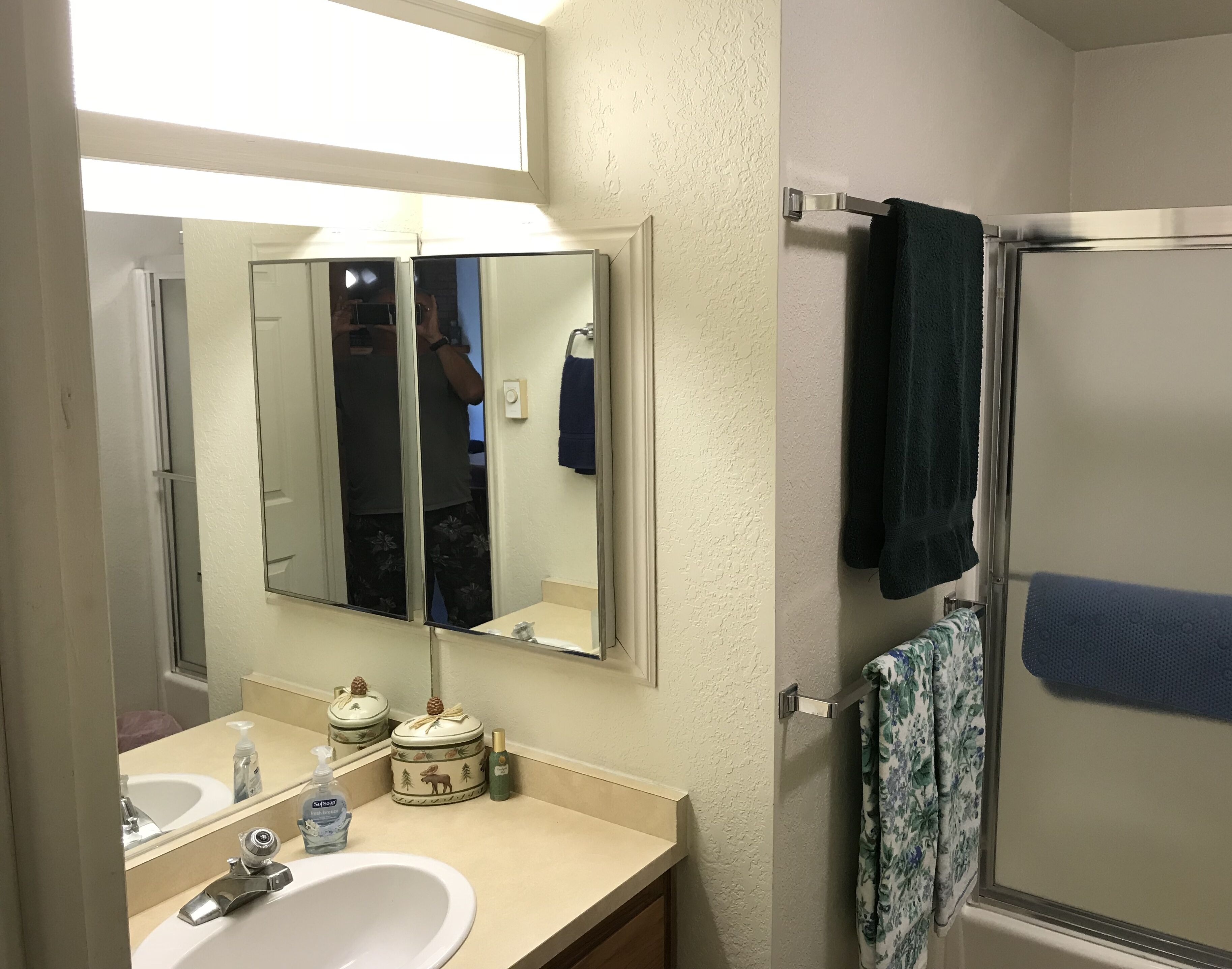 Une salle de bain avec un lavabo, un miroir et une douche.