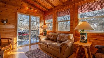 智能電視、壁爐、電子遊戲、DVD 播放機