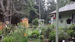 Ein Garten mit einem Holler Shed, verschiedenen Pflanzen und einem weißen Gazebo.