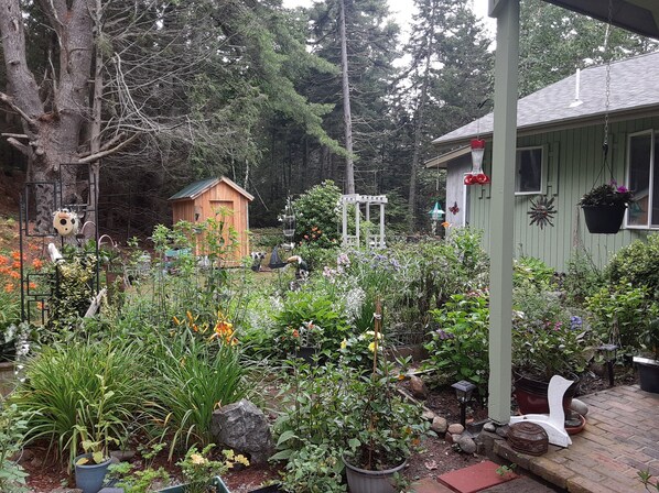 A garden with a wooden shed, various plants, and a white gazebo. - Watch The Sun Set, The Tide Change On A Beautiful And Peaceful Salt Water Inlet (Harpswell)