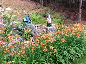 Exterior detail - Watch The Sun Set, The Tide Change On A Beautiful And Peaceful Salt Water Inlet (Harpswell)