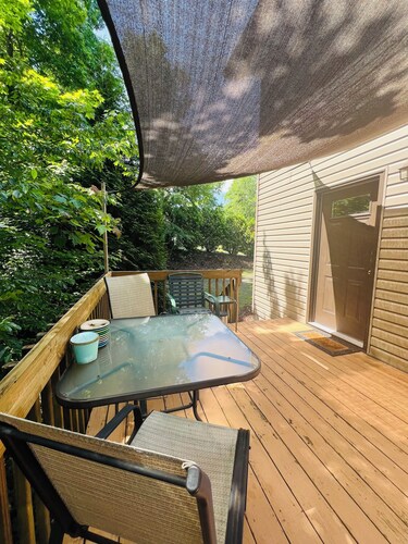 Grandes vistas, cerca del centro, Biltmore House, acceso al río, perros, 12A