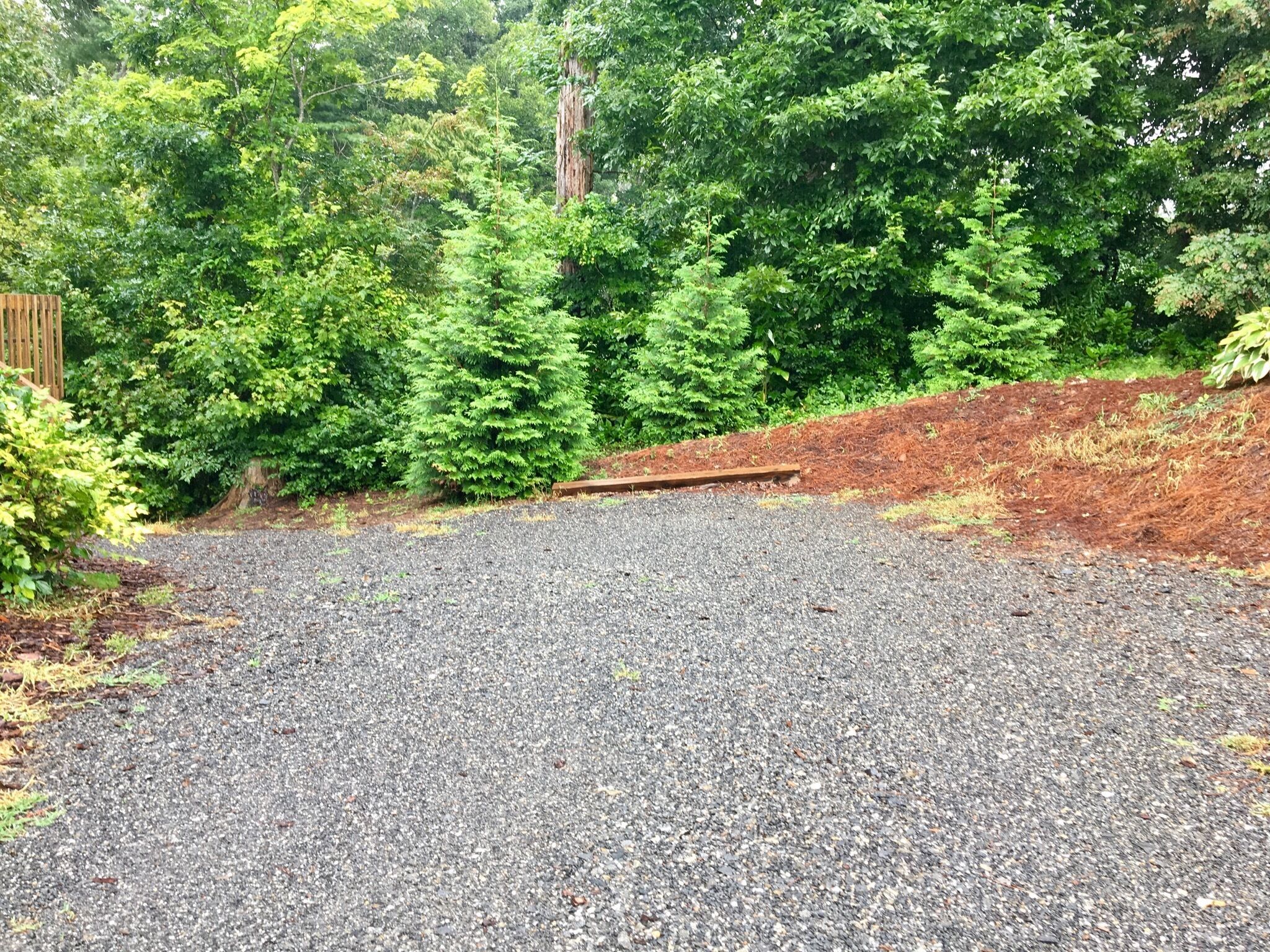 A gravel driveway leading to a wooden deck surrounded by dense green trees.