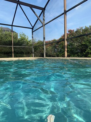 A clear swimming pool with a metal frame structure, surrounded by greenery and trees. - 4 Bedroom 3 bathroom Executive Villa. Gorgeous view from the pool deck. (Davenport)