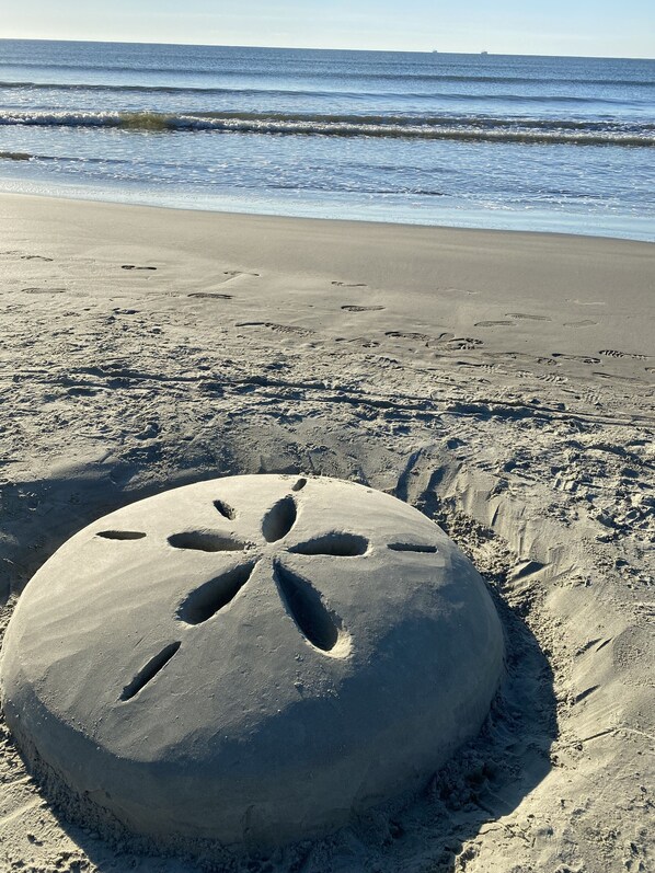 Beach nearby, sun loungers - Sun Fun Cottage at Kiawah Island - Inlet Cove - closest property to the beach. (Johns Island)