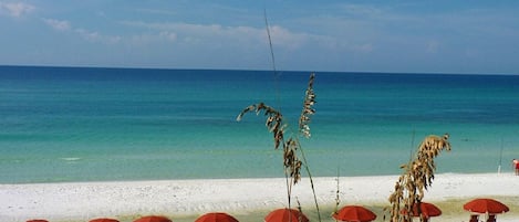 Una playa cerca
