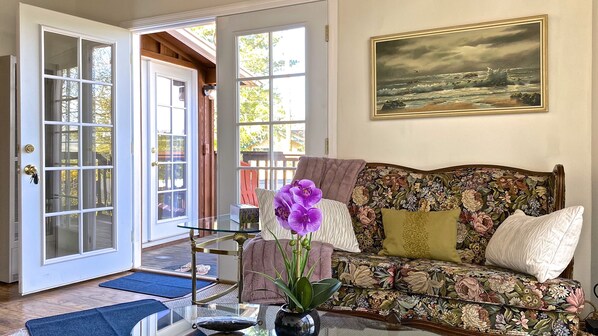 Smart TV, chimenea, reproductor de DVD y libros