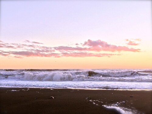 The Redwood Hearts Cottage in Cambria