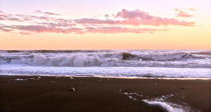 The Redwood Hearts Cottage in Cambria