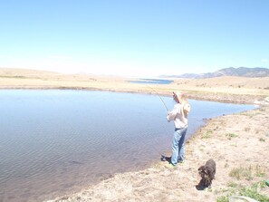 Beach - Dream Stream Retreat on the Water in Eleven Mile State Park (Florissant)